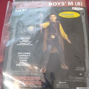 Dungeons and Dragons Costume